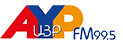 AYP U3P